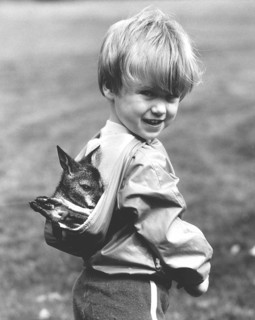 Boy wears small Kanguru in hood