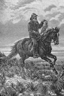 Hunting with the falcon