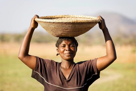 Tonga woman carries a basket with millet to her village at the Lake Kariba