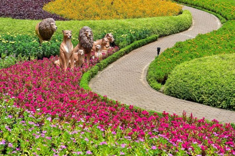Butterfly Hill