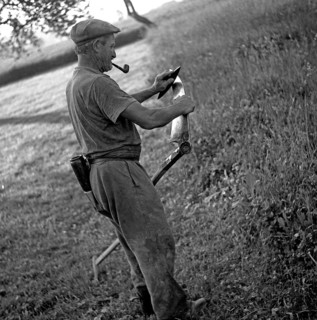 Man with a pipe sharpened in his mouth sharpens a scythe with the help of a grindstone
