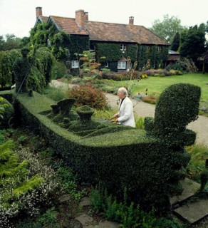 Gardener cuts gondola from a hedge