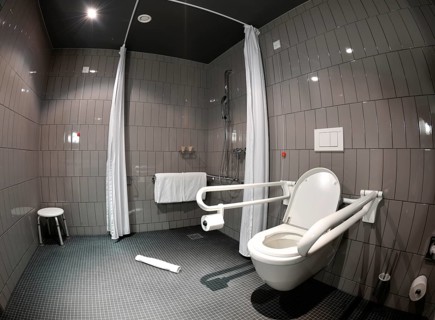 Disabled toilet and shower in a hotel