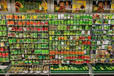 Shelf with different seed packs