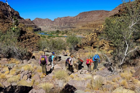 Hikers