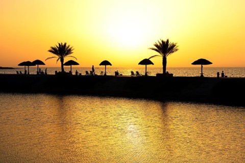 Sunset with water reflection from palm trees and sunshades