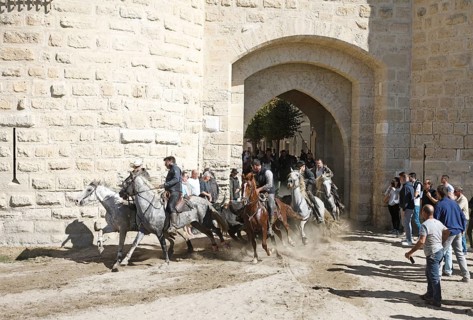 Gardians or bull herders on Camargue horses drive wild bulls through the city gate