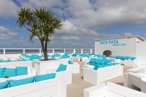 Beach bar with palm tree on the Belgian coast