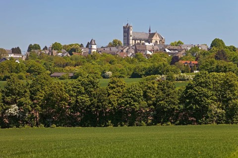 View of Munstermaifeld with the gothic collegiate church St. Martin and St. Severus