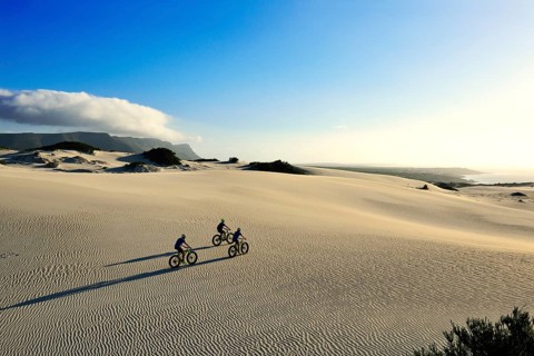 Mountain biking on fat bikes through dunes