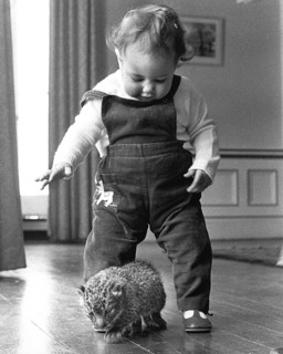 Little boy playing with baby predator