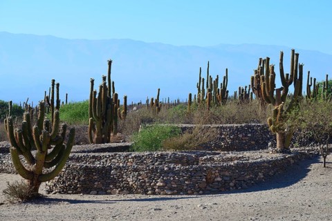 Ruins of Quilmes