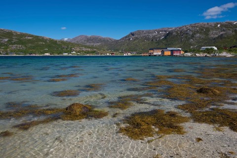 Sommaroy Island