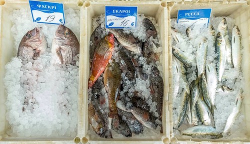 Edible fish for sale