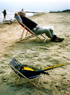 Parrot in deck chair