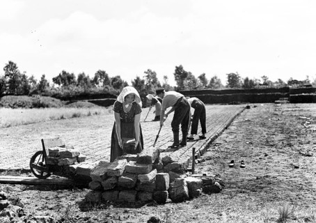 Agriculture