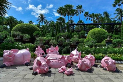 Pig figures