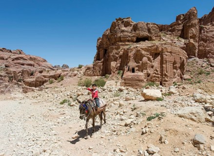 Little boy on a donkey