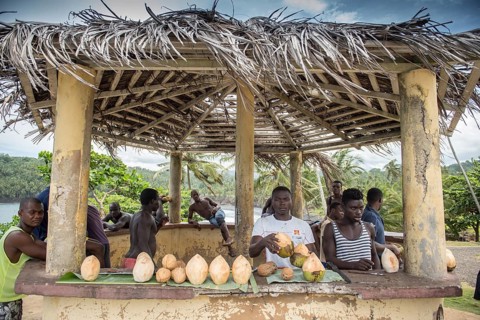 Young men sell fresh coconuts at a kiosk