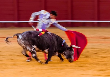 Racing bull with Matador