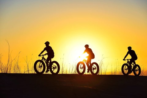 Mountain bikers with Fatbikes in the back light with sunset