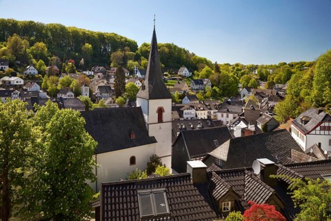 Cityscape with parish church of St. Maria Himmelfahrt