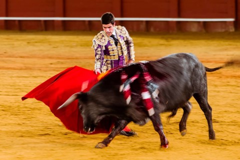 Racing bull with Matador