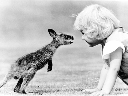 Child and baby kangaroo