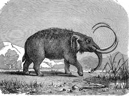 Mastodon