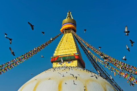 Boudhanath Stupa with a flock of pigeons flying in the sky
