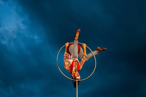 Acrobat