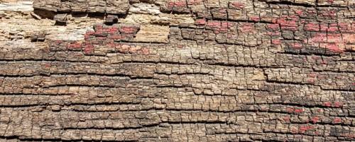Weathered wood with red colour residues