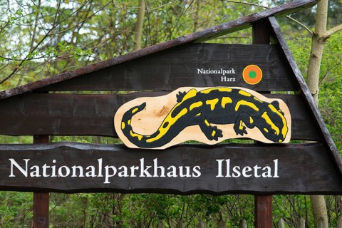 Signboard for the Ilsetal National Park House with Fire salamander