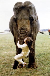 Girl swings at the elephant's trunk