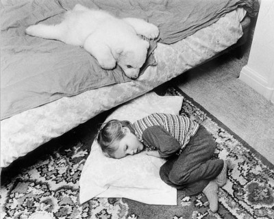 Little polar bear cub and a girl sleeping