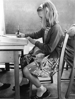 Girl with a fox in school