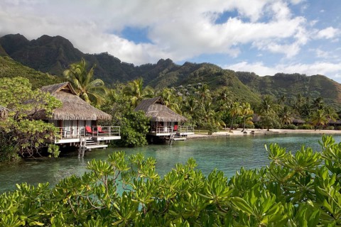 Bungalows by the sea with palm trees in front of green hills