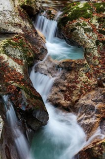 River course of the Lepenica river in autumn