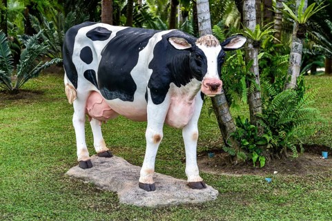 Cow figure