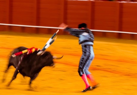 Matador with bull