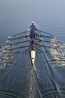 Rowers rowing in rowing boat
