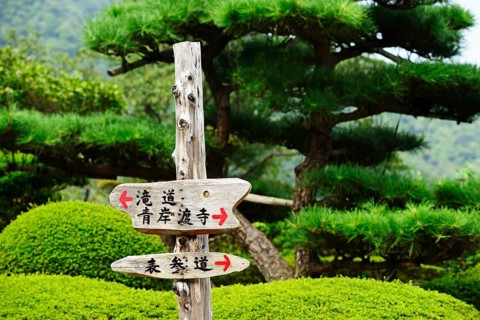 Signposts
