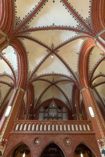 Organ gallery