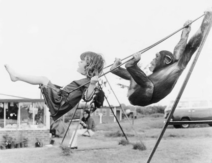 Girl and chimpanzee swing