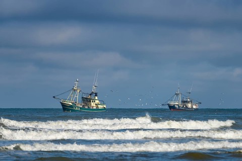 Shrimp cutter towing the nets off the coast