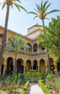 Courtyard with palm trees