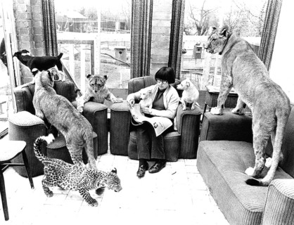 Woman and predators in the living room