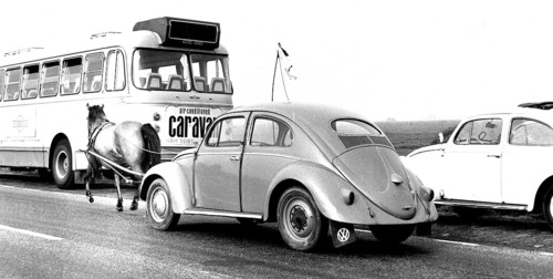 VW Beetle is pulled by a Perd