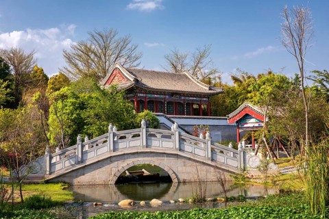 Traditional Chinese bridge and temple