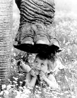 Elephant foot over child